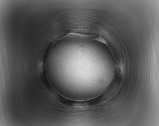 X0000088490556200705291650