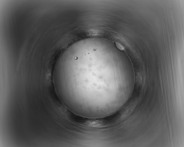 X0000088490557200705291650