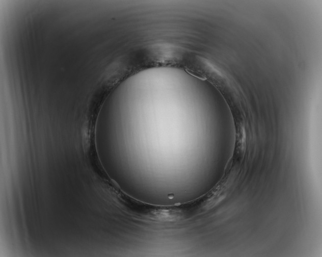 X0000088490558200705291650