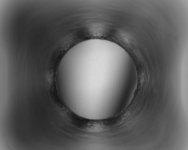 X0000088490559200705291650
