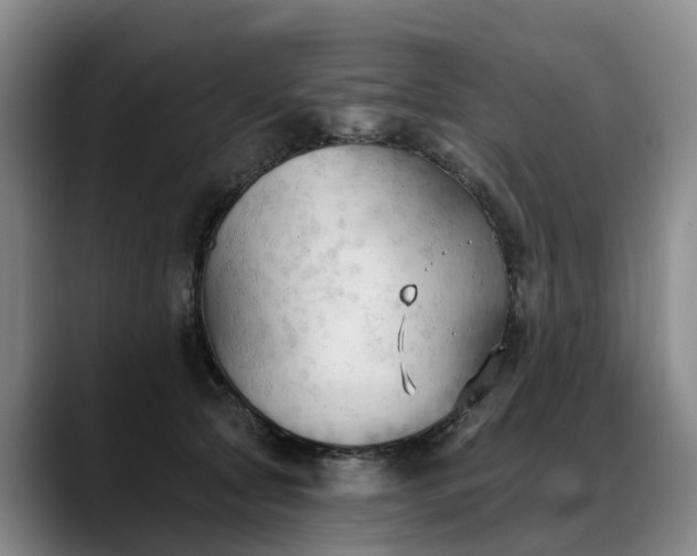 X0000088490561200705291650