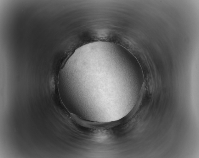 X0000088490562200705291650
