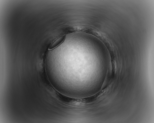 X0000088490563200705291650