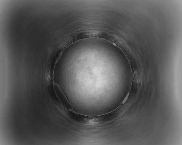 X0000088490564200705291650