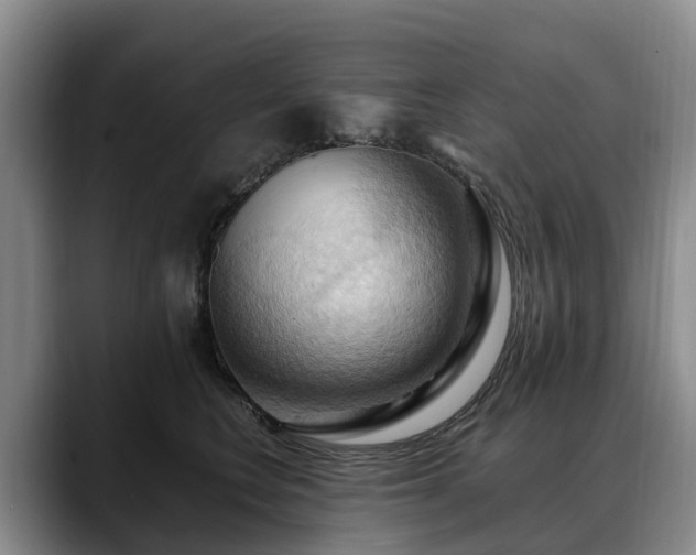 X0000088490566200705291650