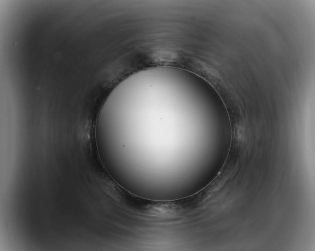 X0000088490567200705291650