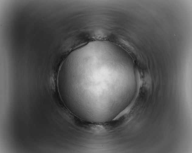 X0000088490572200705291650