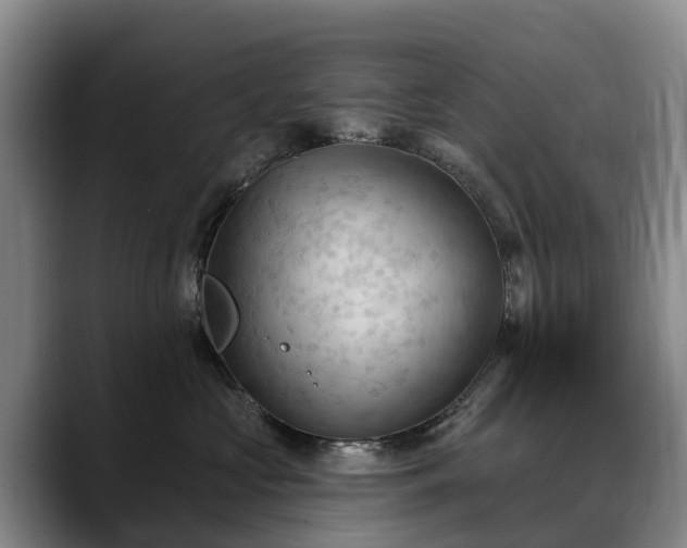 X0000088490573200705291650