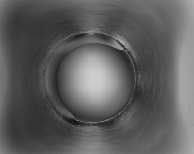 X0000088490577200705291649