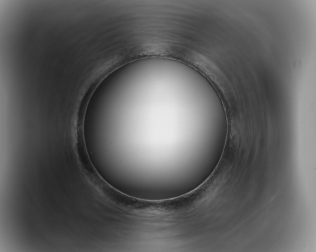 X0000088490578200705291649