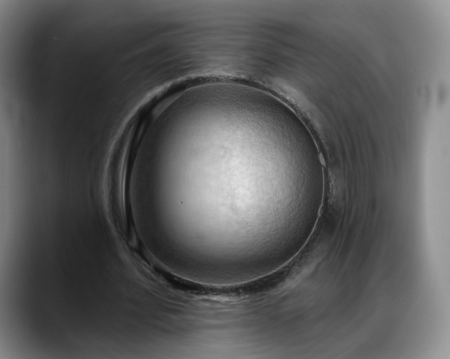 X0000088490580200705291649