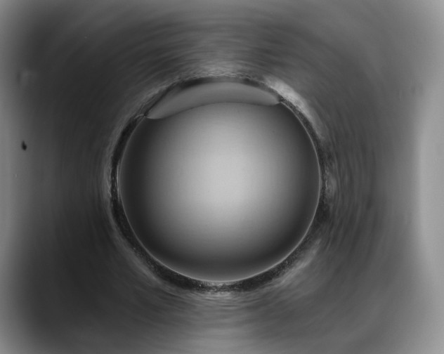 X0000088490581200705291649