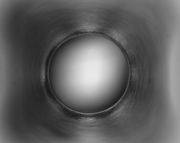 X0000088490582200705291649