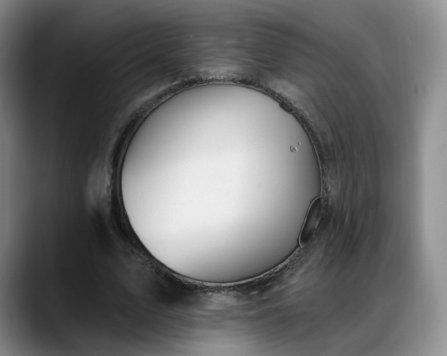X0000088490583200705291649