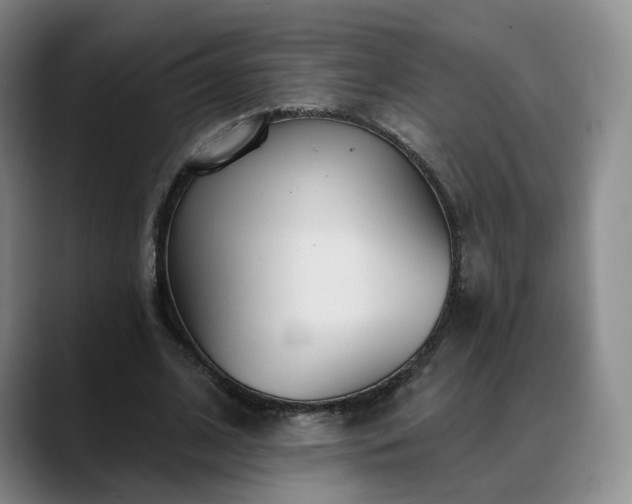 X0000088490584200705291649