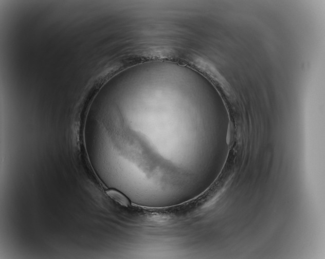 X0000088490585200705291649