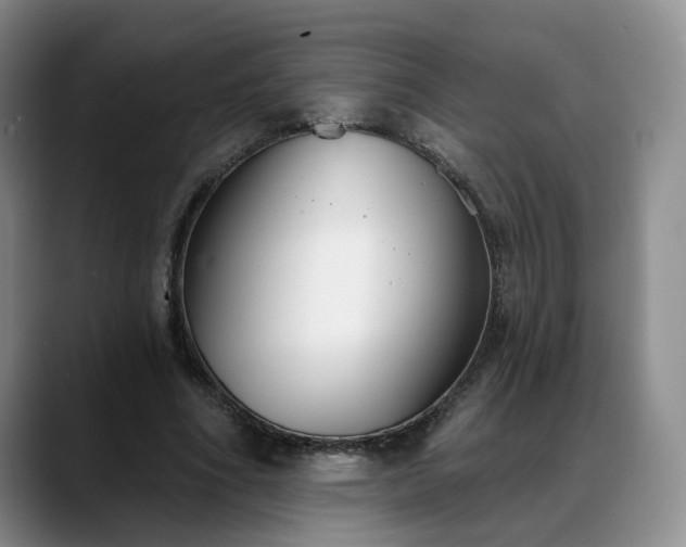 X0000088490586200705291649