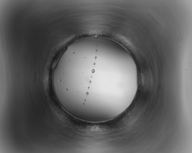 X0000088490588200705291649