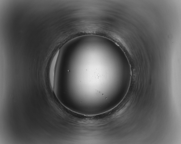 X0000088490589200705291649