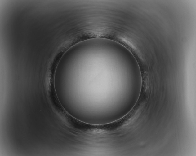 X0000088490590200705291649
