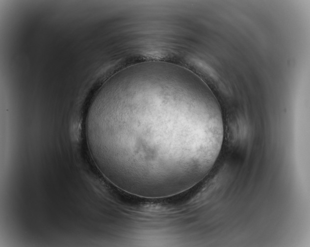 X0000088490596200705291649