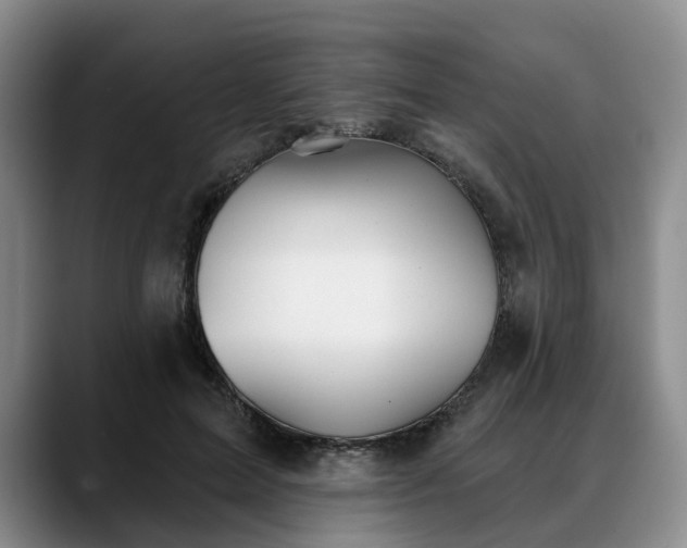X0000088490599200705291649