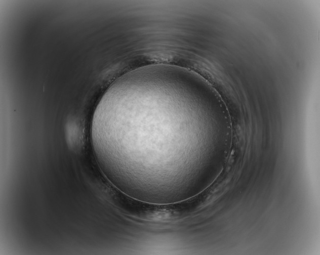 X0000088490600200705291649