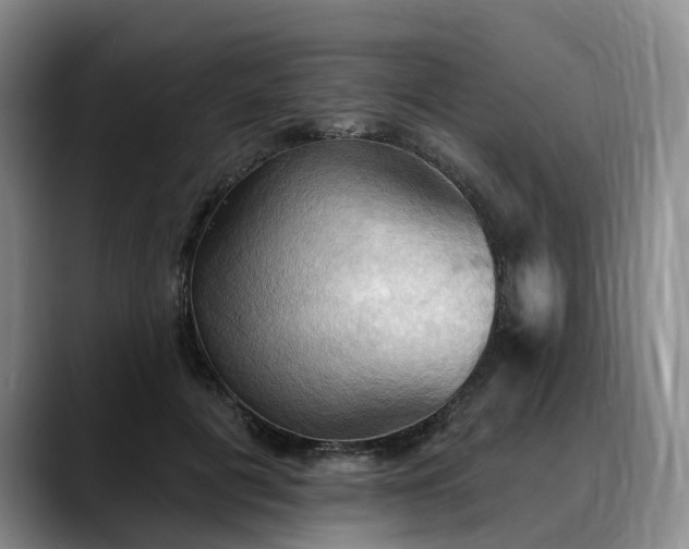 X0000088490601200705291649