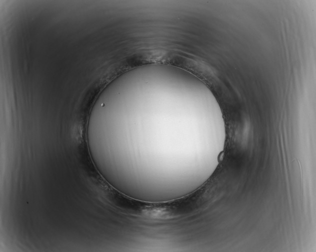 X0000088490602200705291649