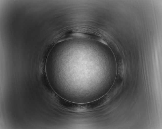 X0000088490604200705291649