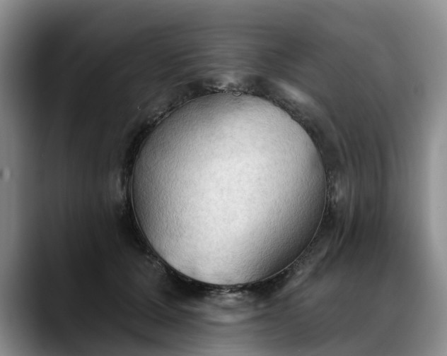X0000088490607200705291649