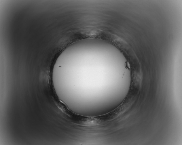 X0000088490612200705291649