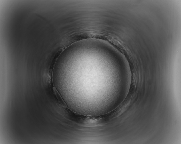 X0000088490613200705291649