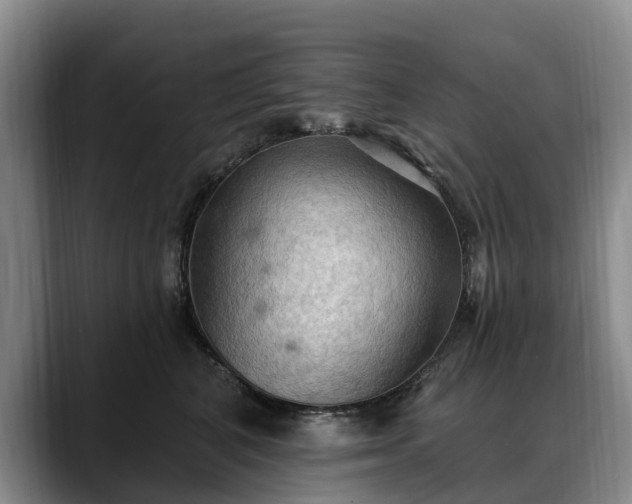 X0000088490616200705291649