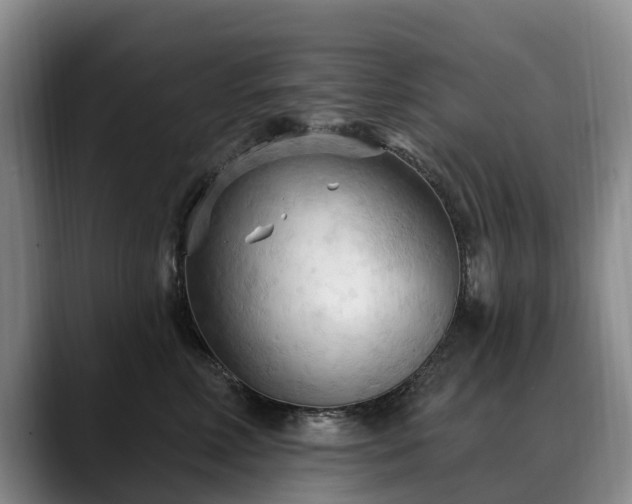 X0000088490618200705291649