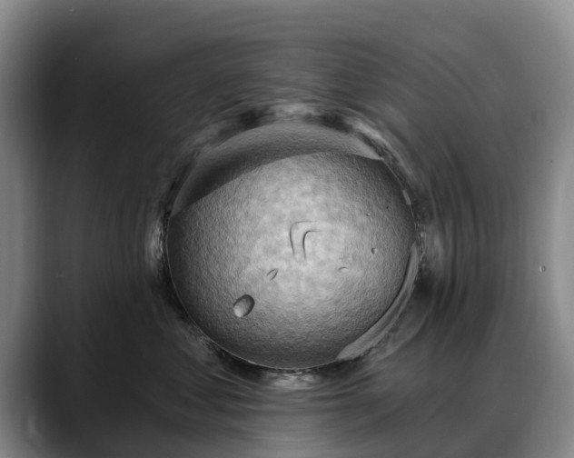 X0000088490621200705291649