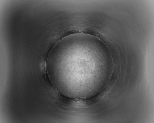 X0000088490624200705291649