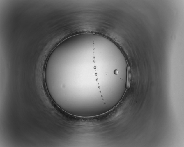 X0000088490625200705291648
