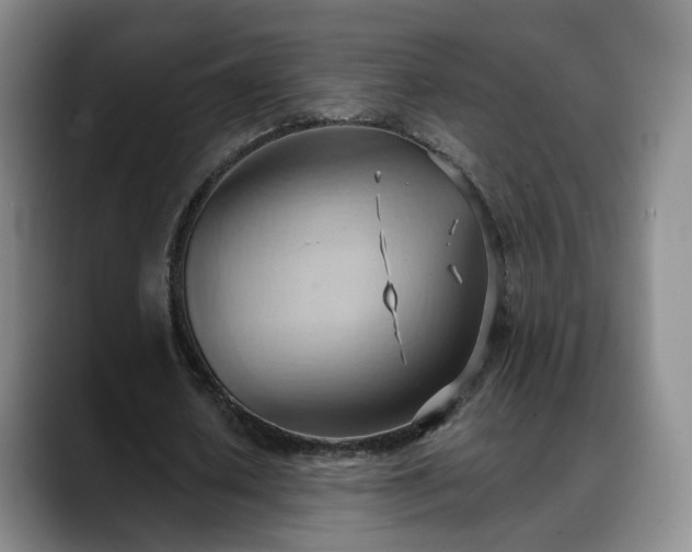 X0000088490626200705291648