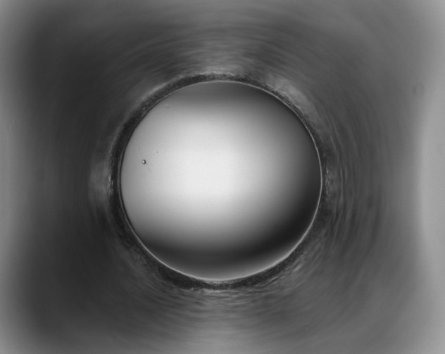 X0000088490628200705291648