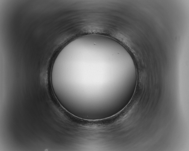 X0000088490629200705291648