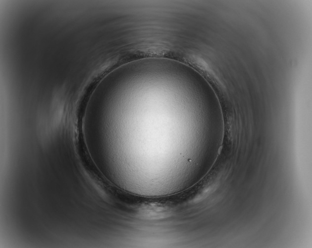 X0000088490634200705291648
