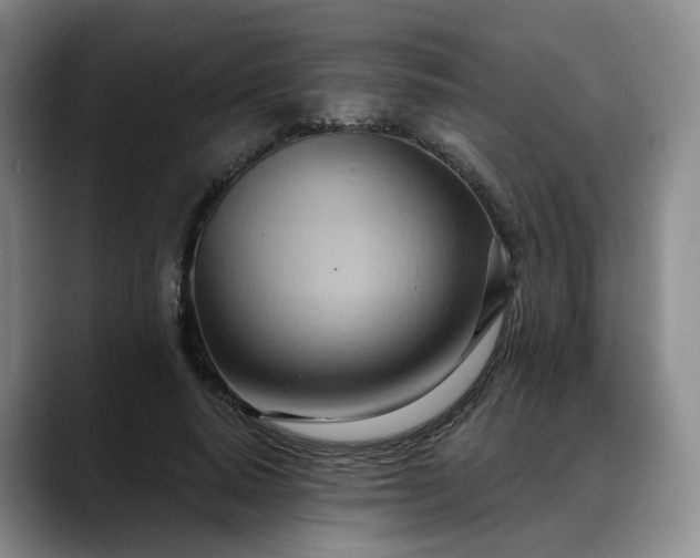 X0000088490640200705291648