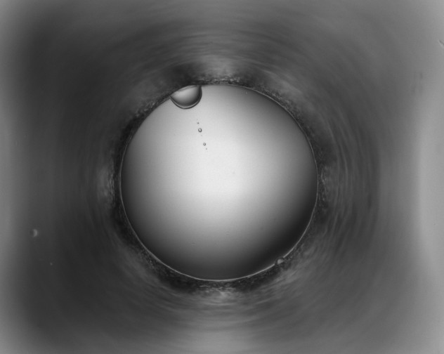 X0000088490642200705291648