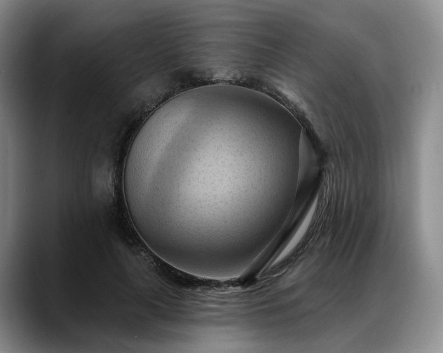X0000088490643200705291648