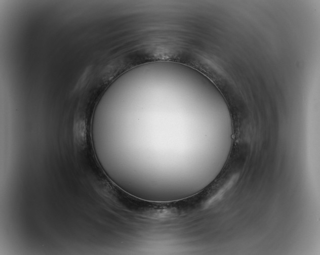 X0000088490646200705291648
