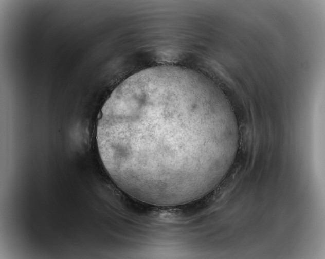 X0000088490655200705291649