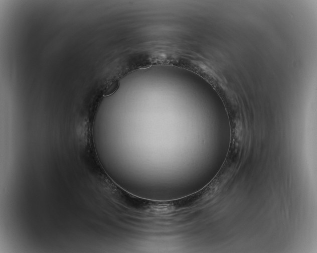 X0000088490659200705291649