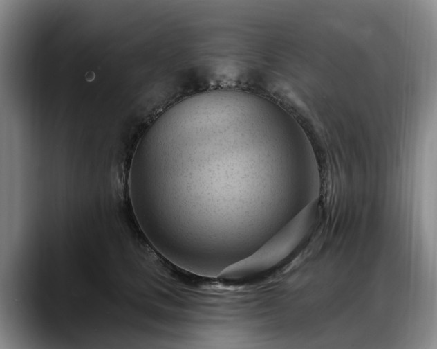 X0000088490661200705291649