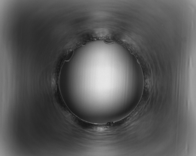 X0000088490662200705291649